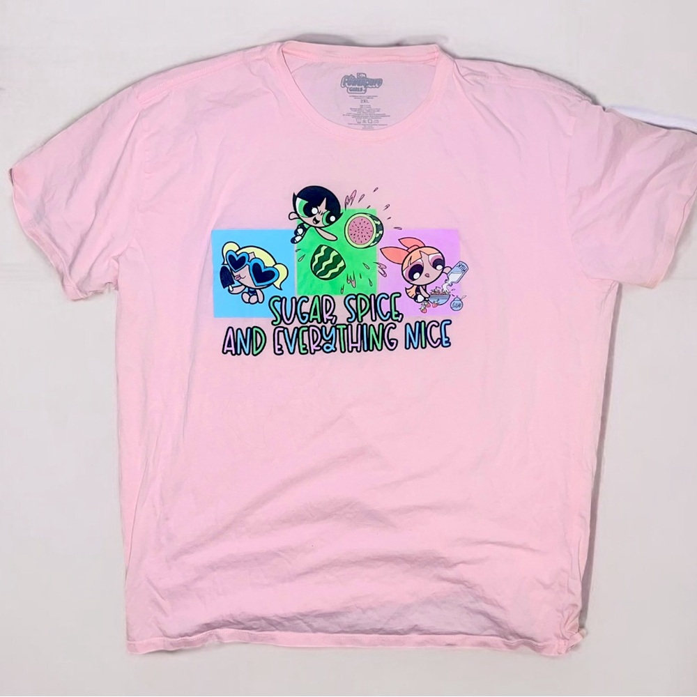 The Powerpuff Girls Sugar & Spice Group Portrait Plus Size 2X Women’s T-Shirt